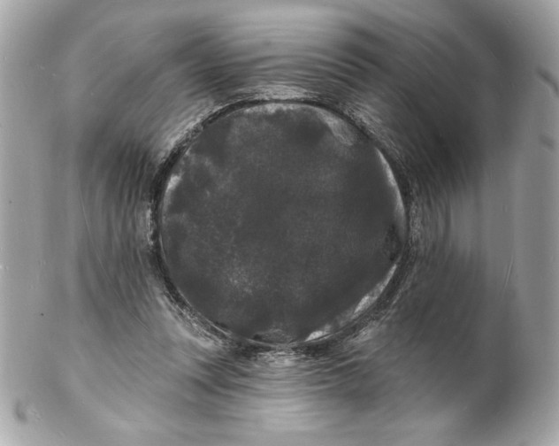X0000102230351200808151735