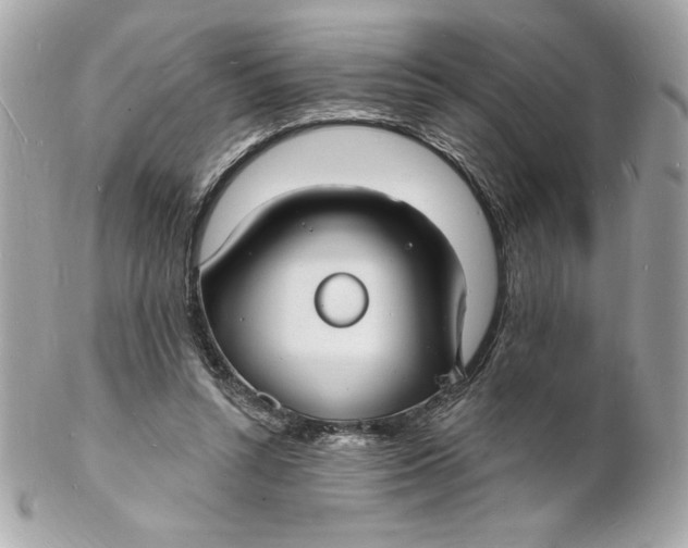 X0000102230352200808151735