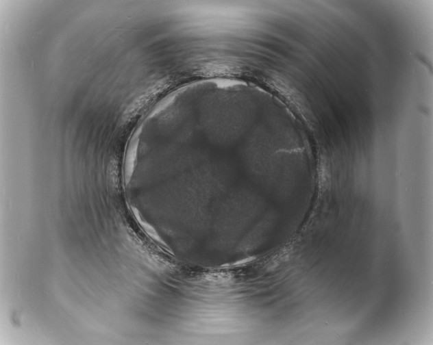 X0000102230353200808151735