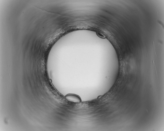X0000102230354200808151735