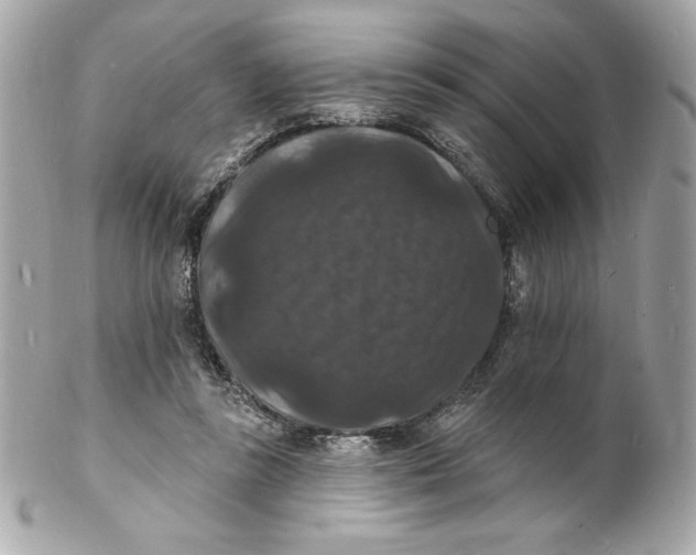 X0000102230355200808151735