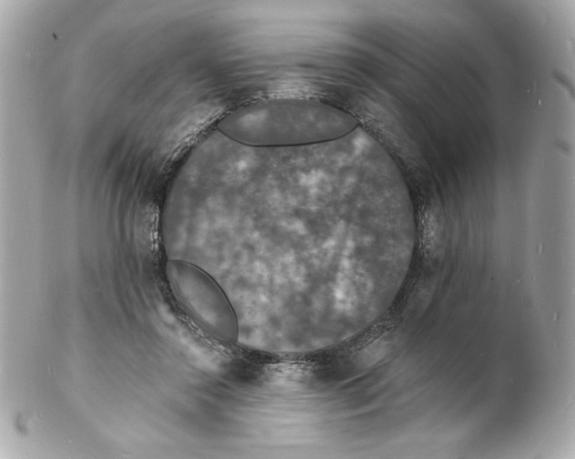 X0000102230356200808151735