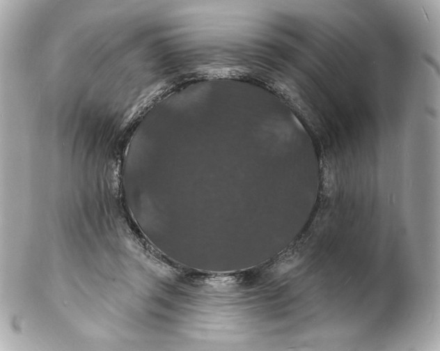 X0000102230357200808151735