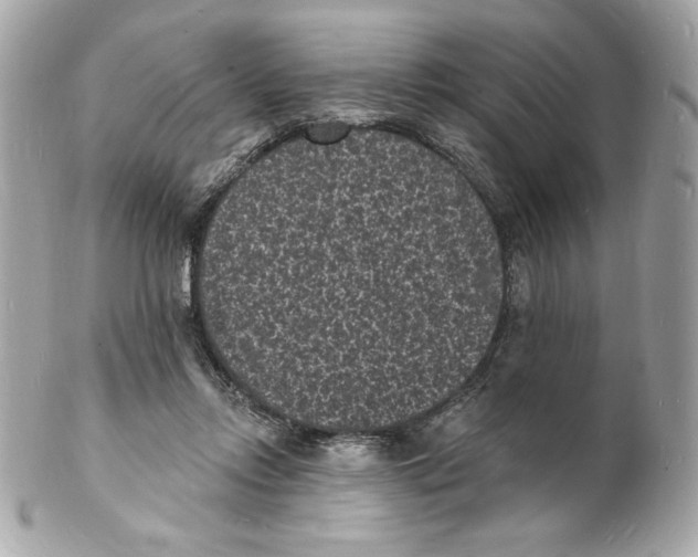 X0000102230358200808151735