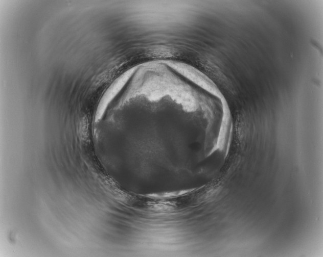 X0000102230359200808151735