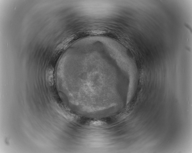 X0000102230360200808151735