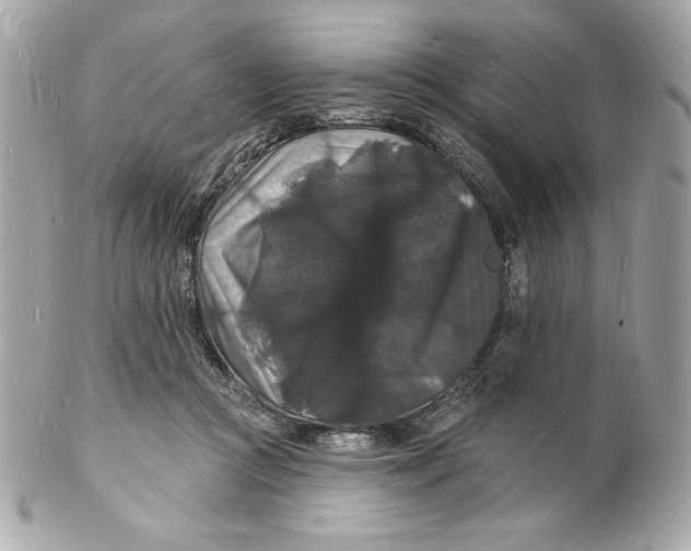 X0000102230361200808151735