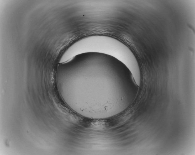 X0000102230362200808151735