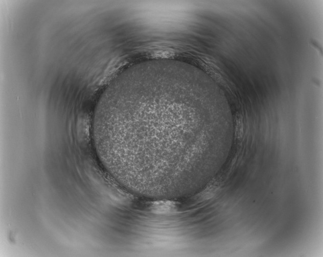 X0000102230363200808151735