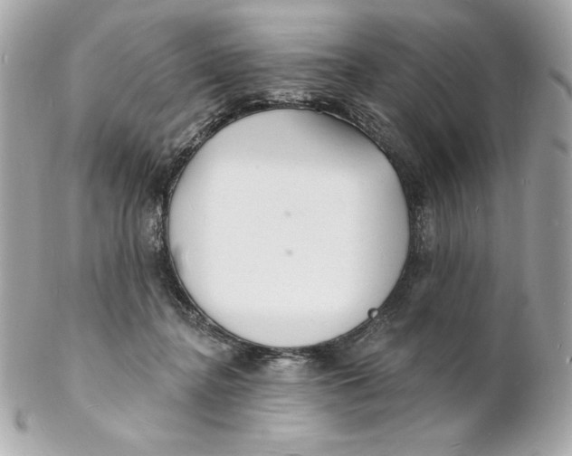 X0000102230364200808151735