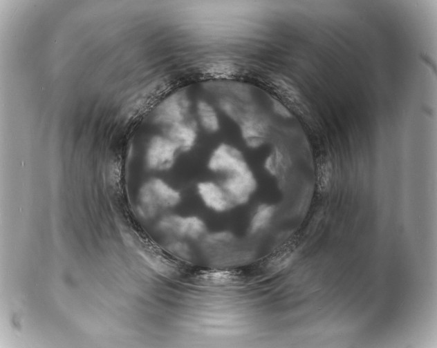 X0000102230365200808151735