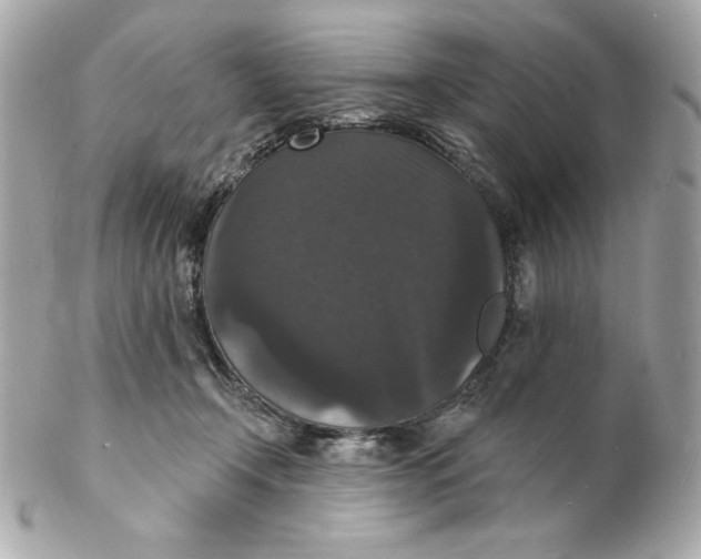 X0000102230366200808151735