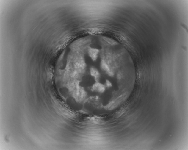 X0000102230367200808151735