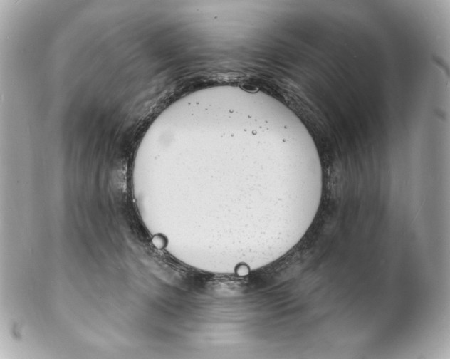 X0000102230368200808151735