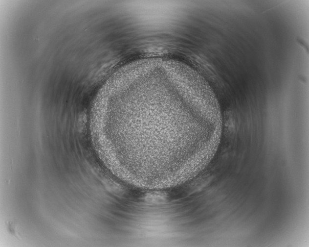 X0000102230369200808151735