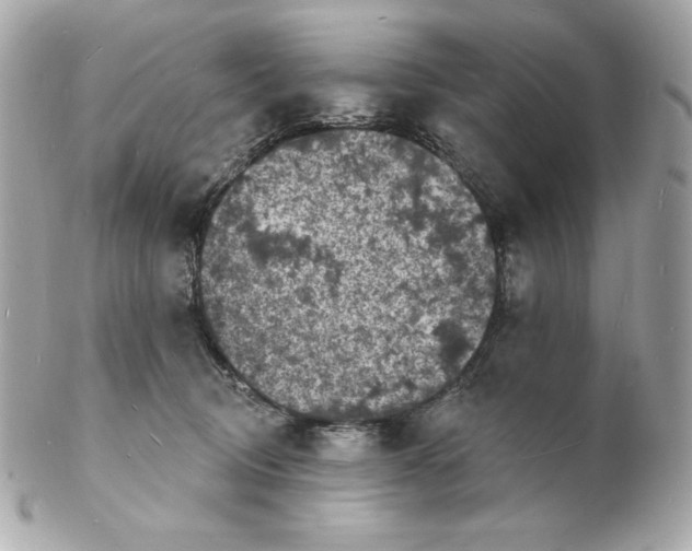 X0000102230370200808151735
