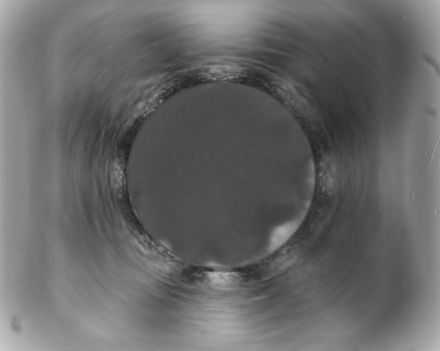 X0000102230371200808151735