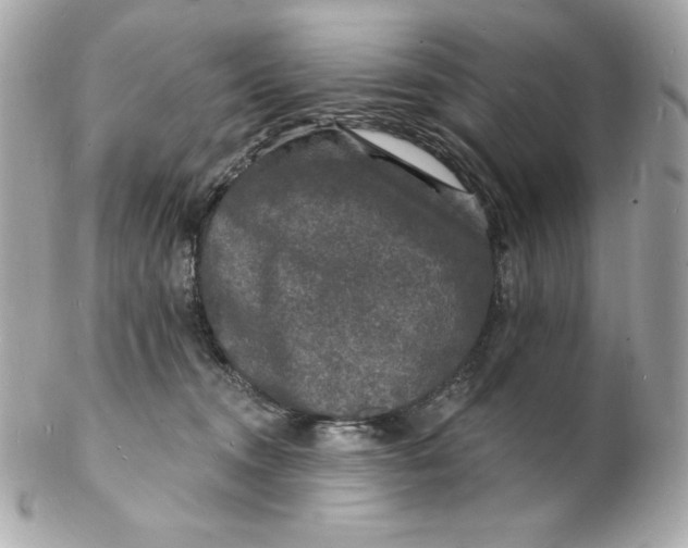 X0000102230372200808151735