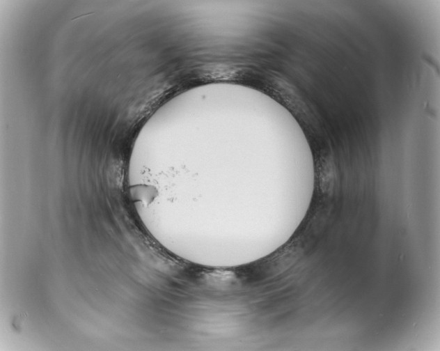 X0000102230374200808151735