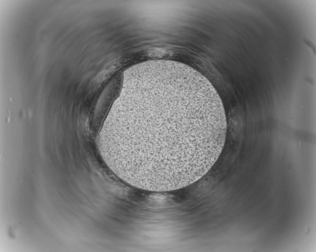 X0000102230375200808151735