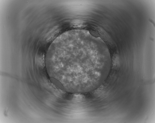 X0000102230376200808151735