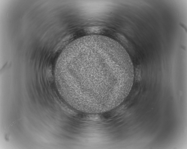 X0000102230377200808151735