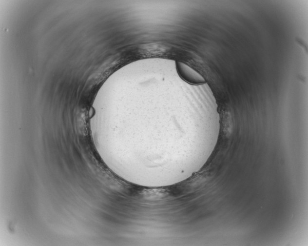 X0000102230378200808151735