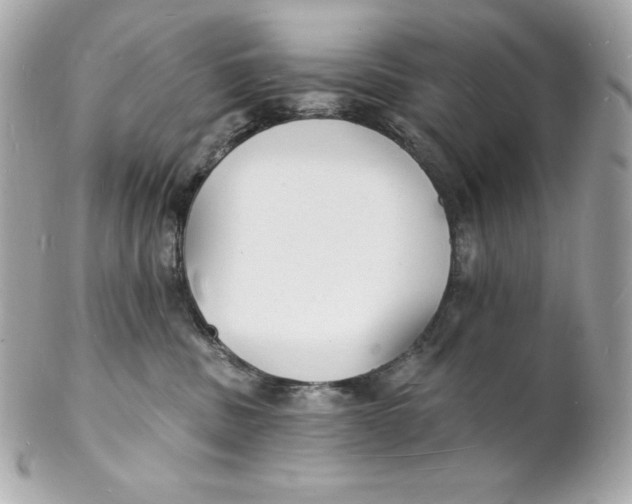 X0000102230379200808151735