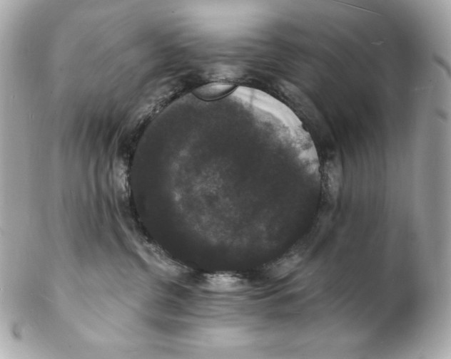 X0000102230380200808151735