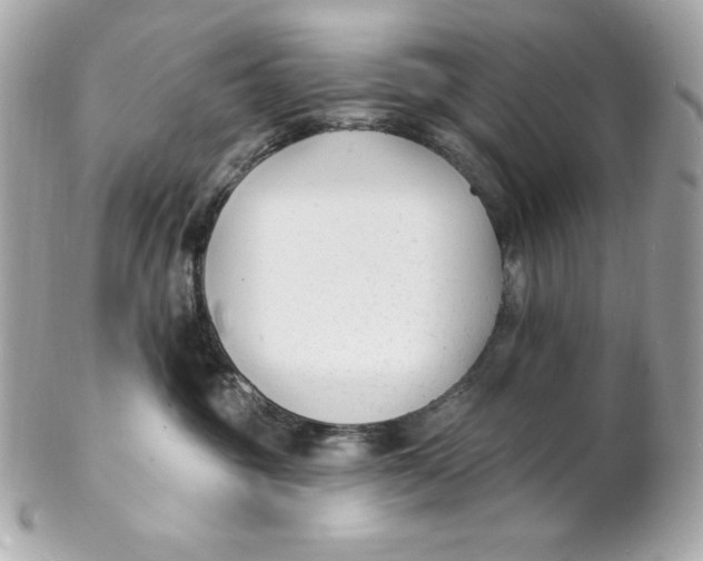 X0000102230381200808151735