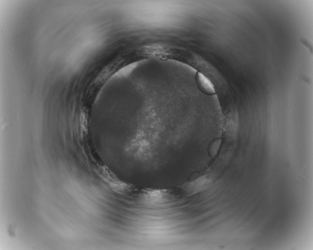 X0000102230382200808151735