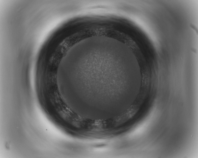 X0000102230383200808151735