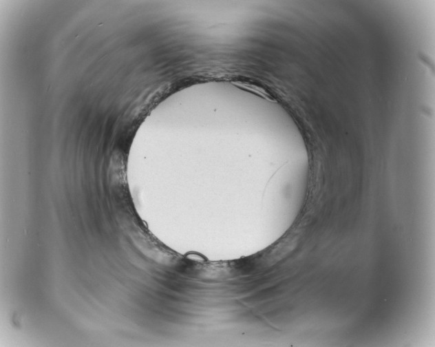 X0000102230384200808151735