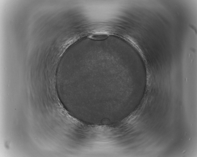 X0000102230385200808151735