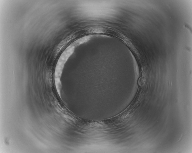 X0000102230386200808151735