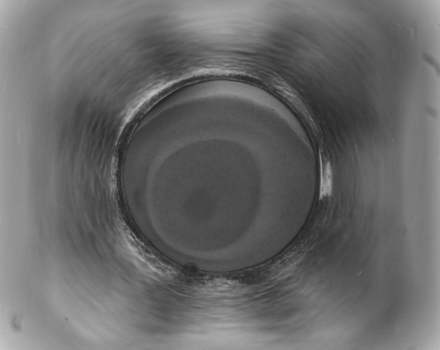 X0000102230387200808151735