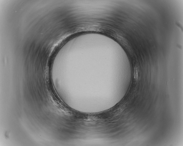 X0000102230388200808151735