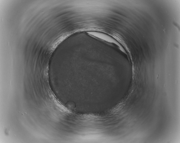 X0000102230389200808151735