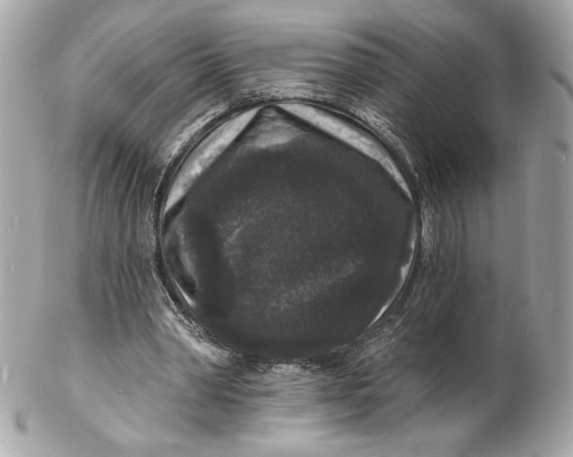 X0000102230390200808151735
