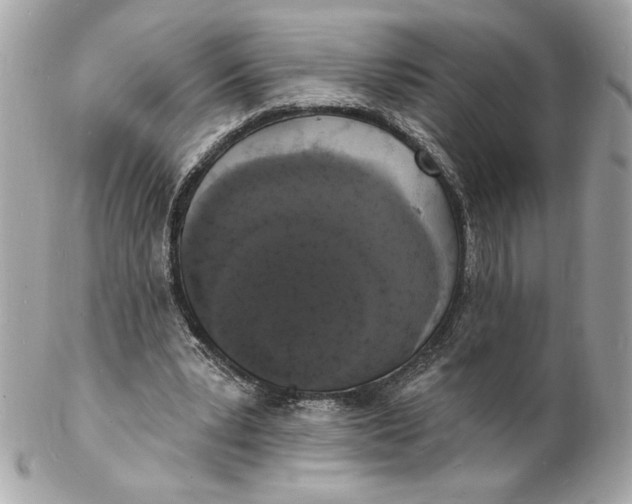 X0000102230391200808151735
