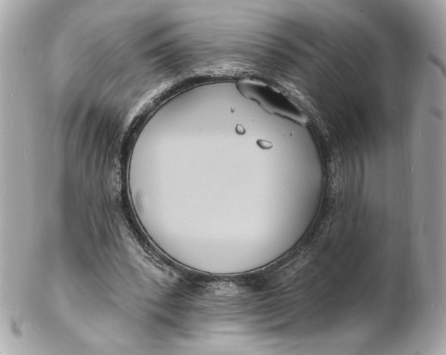 X0000102230392200808151735