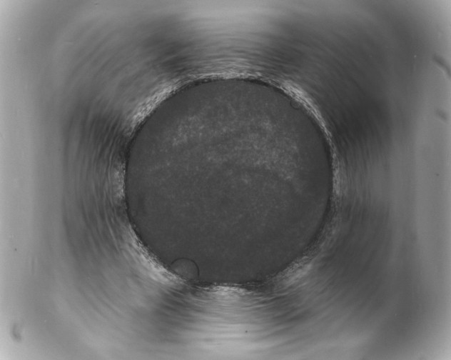 X0000102230393200808151735