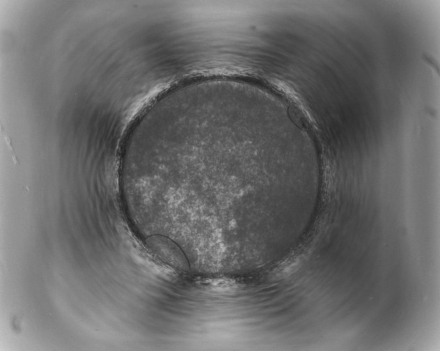 X0000102230395200808151735