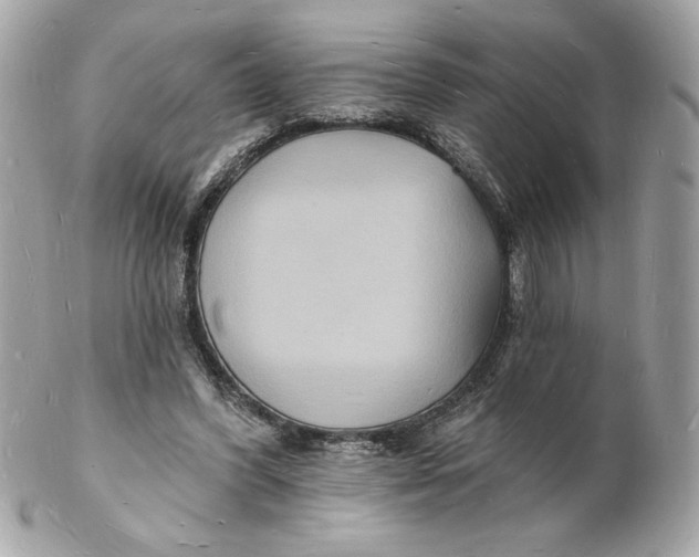 X0000102230396200808151735