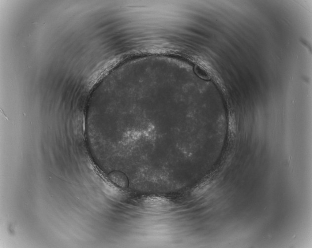 X0000102230397200808151735