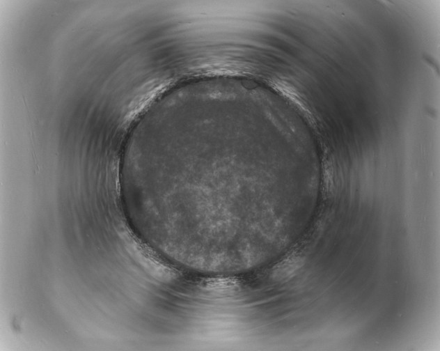X0000102230398200808151735