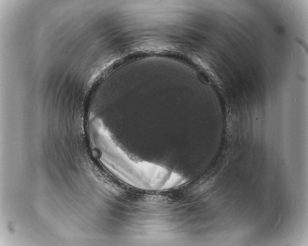 X0000102230399200808151735
