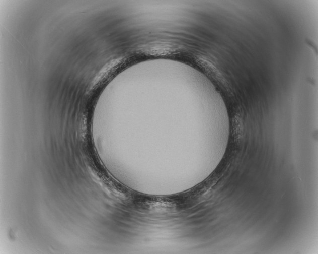 X0000102230400200808151734