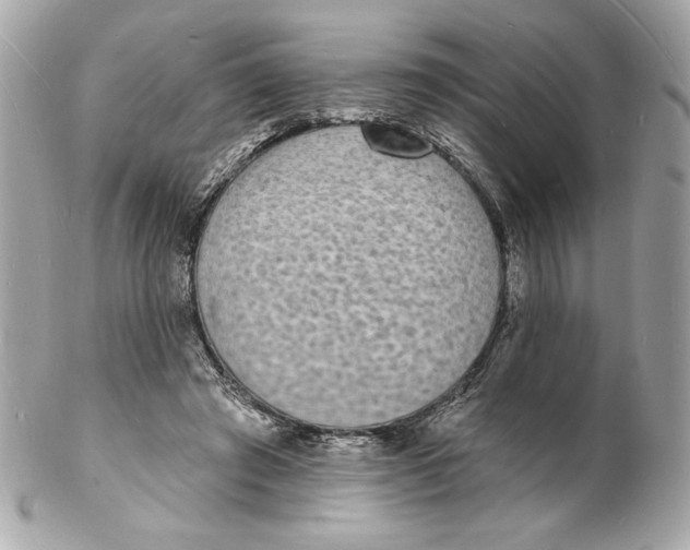 X0000102230401200808151734