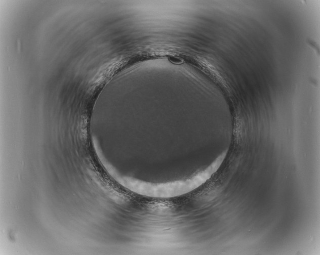 X0000102230402200808151734